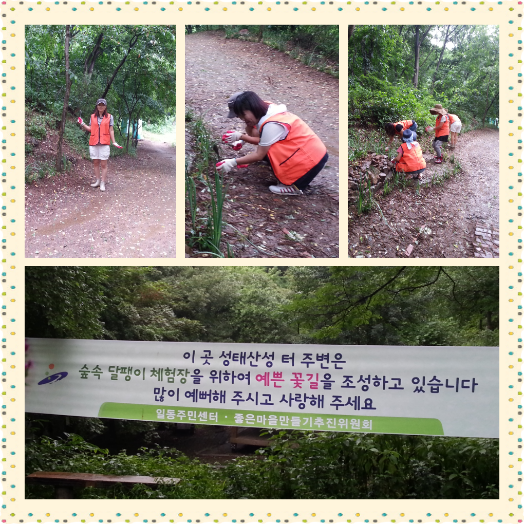 성태디자인 이미지