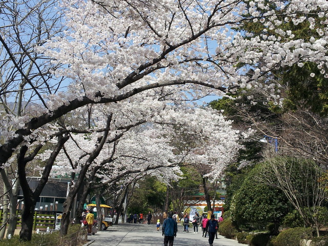 지인 이미지