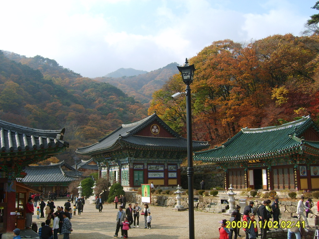 용문사 이미지