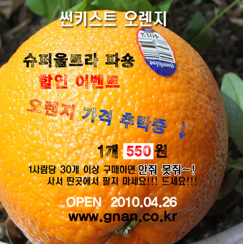 과일의모든것 이미지