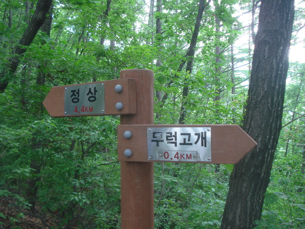 들무새 이미지