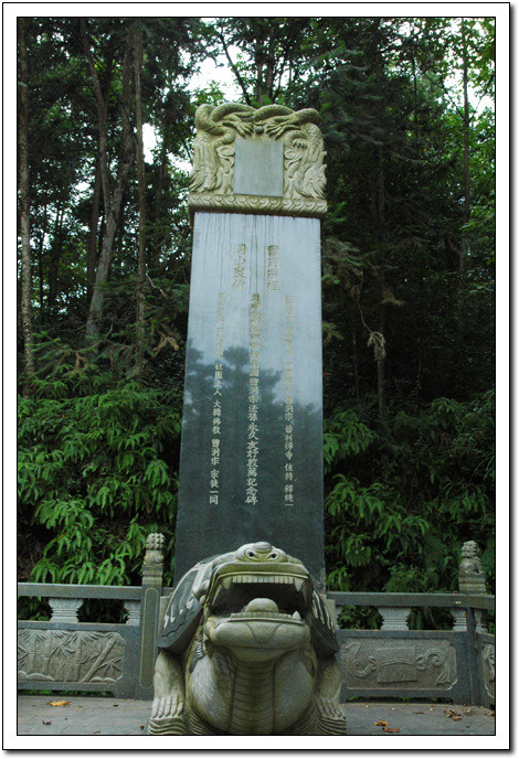 동산양계 이미지