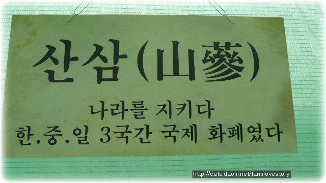 고려농장 이미지