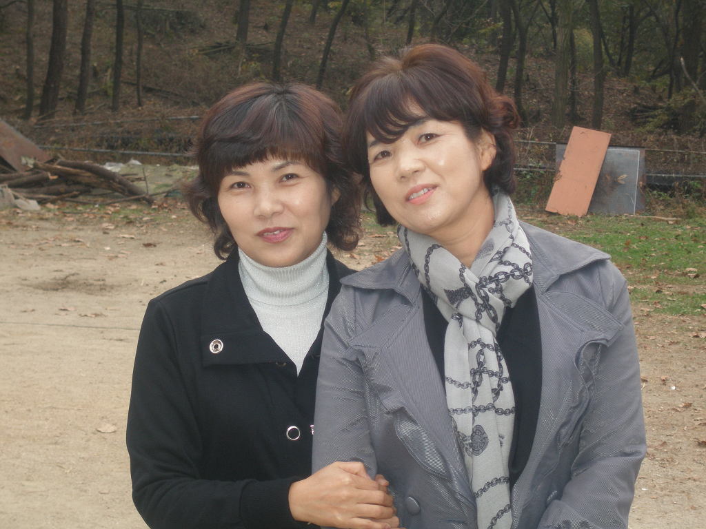 경선수선 이미지
