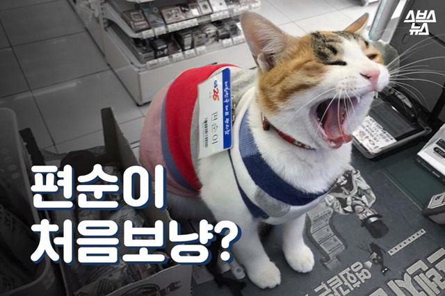 편순이 처음 보냥? | 인스티즈