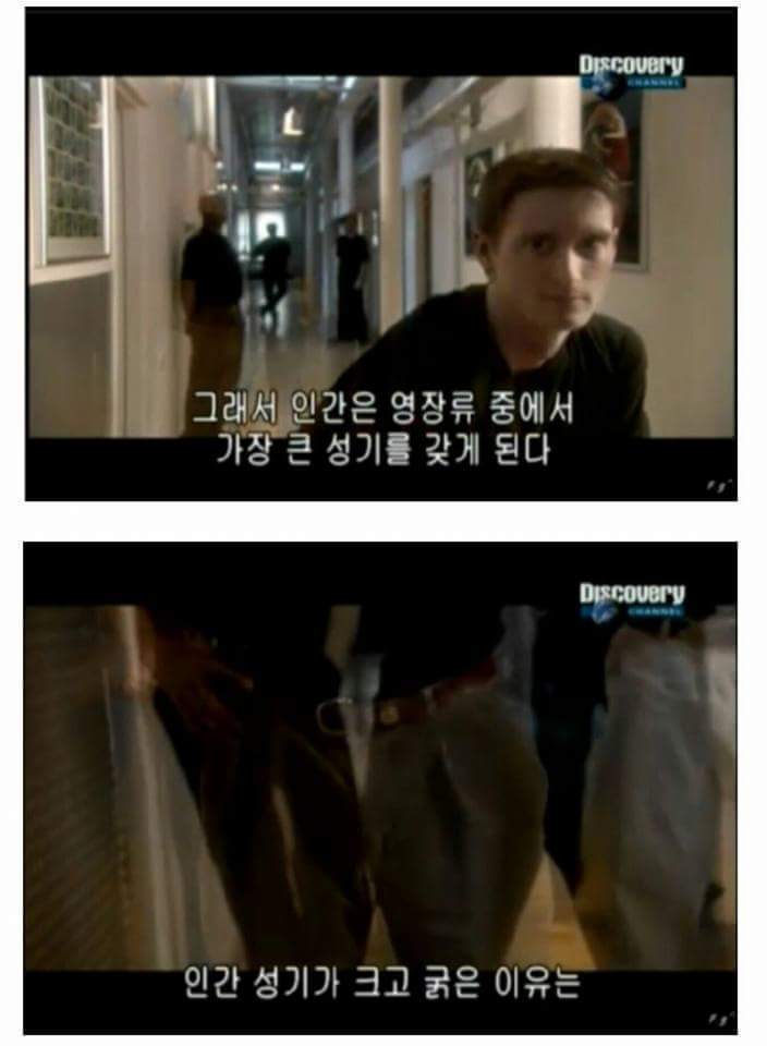 인간(남자)의 성기가 크고 긴 이유.jpg | 인스티즈