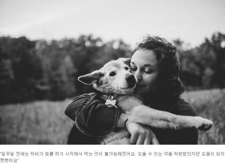 반려견과의 만남과 이별 과정.jpg | 인스티즈