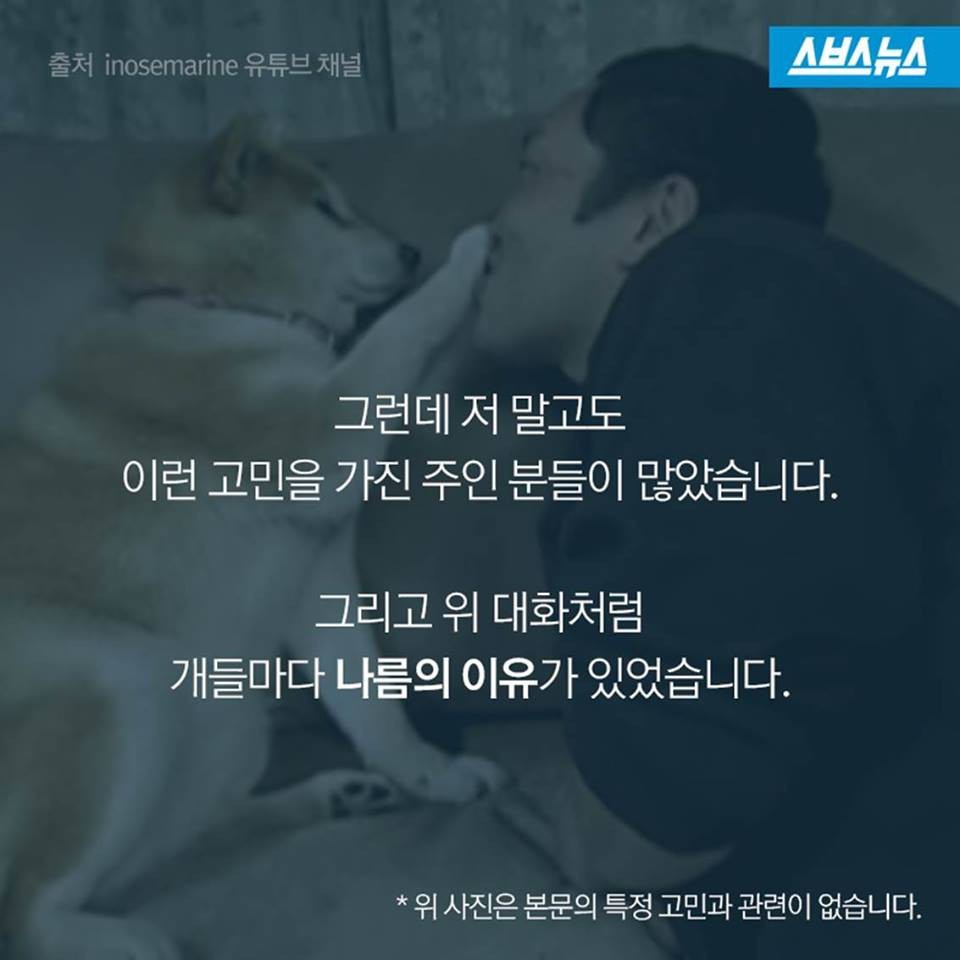 개들이 뽀뽀를 피하는 이유.jpg | 인스티즈