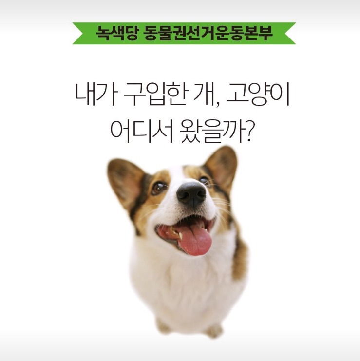 강아지 키우고 싶으세요?? 인간의 잔인함이 드러나는 강아지 공장 | 인스티즈