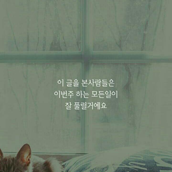 만사형통 이미지