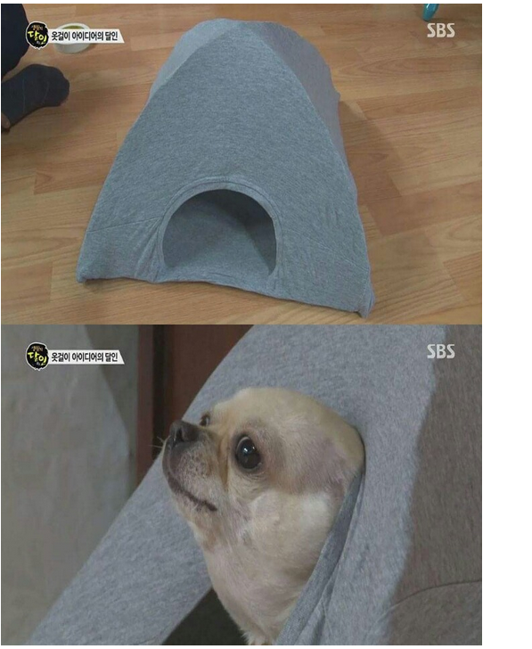 옷걸이의 달인 | 인스티즈