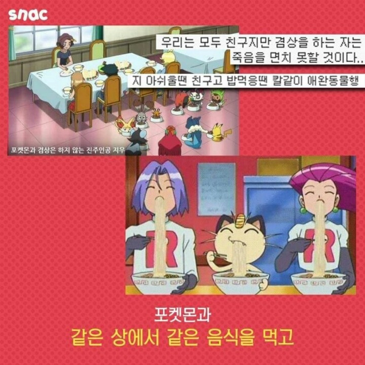 포켓몬의 진짜 주인공 | 인스티즈