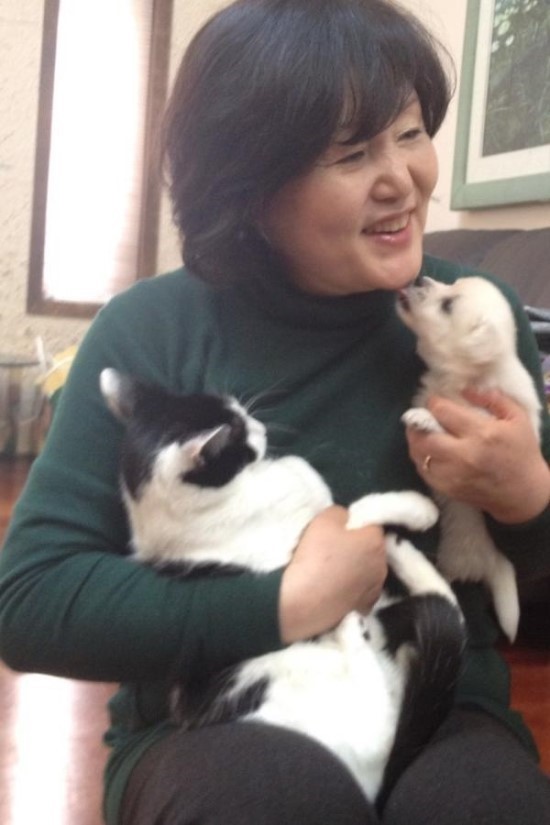 냥집사들 🐱 (사진 엄청많음 주의) | 인스티즈