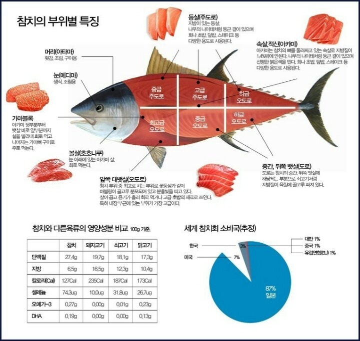 참치회 아는 척 하기 | 인스티즈