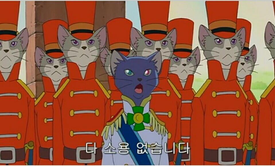 드립온 이미지
