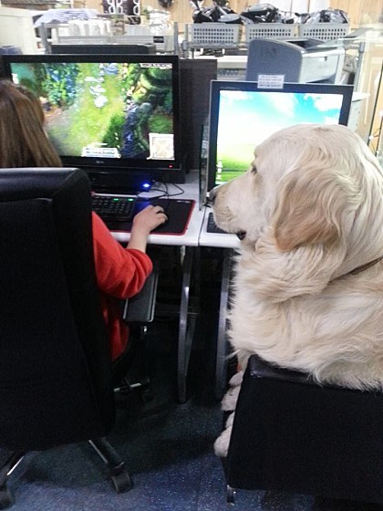 가자PC방 이미지