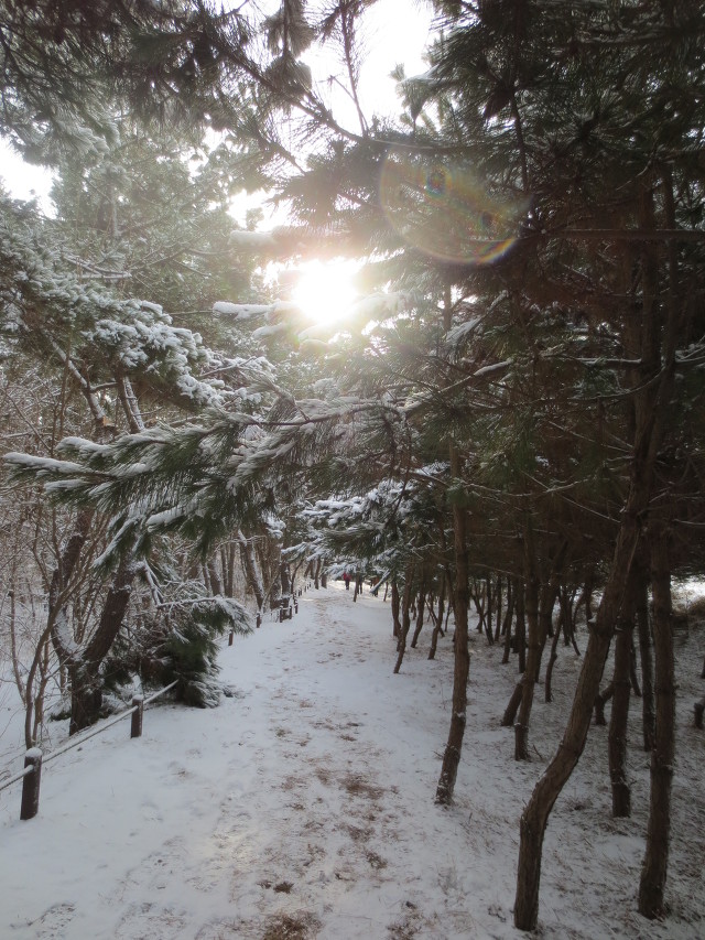 몽산포랑바다랑 이미지