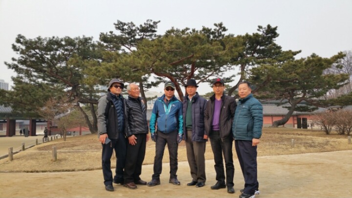 화개초등학교 이미지