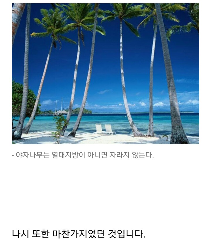7세대에서 밝혀진 나시의 비밀 | 인스티즈