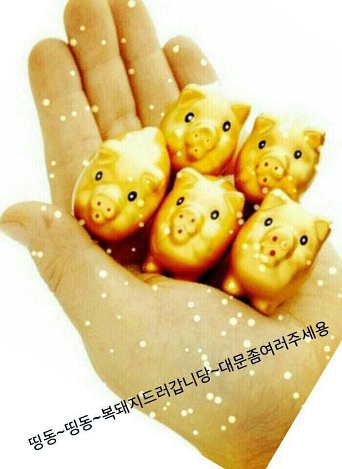 로이컴 이미지