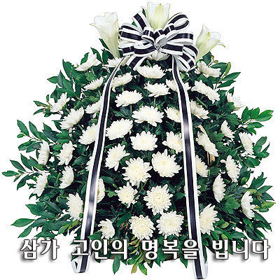 한돈희 이미지