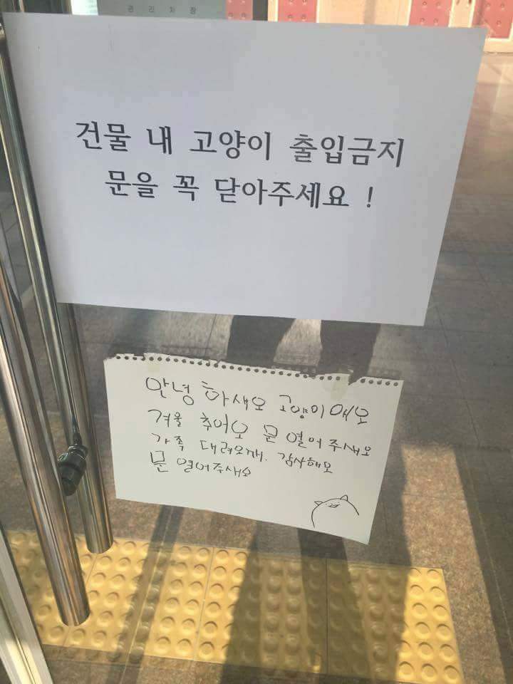 안녕하새오 시리즈 | 인스티즈