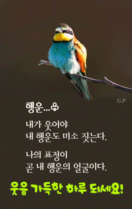 부모님 카카오톡.gif | 인스티즈
