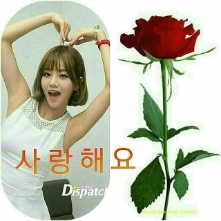 의리의리의리 이미지
