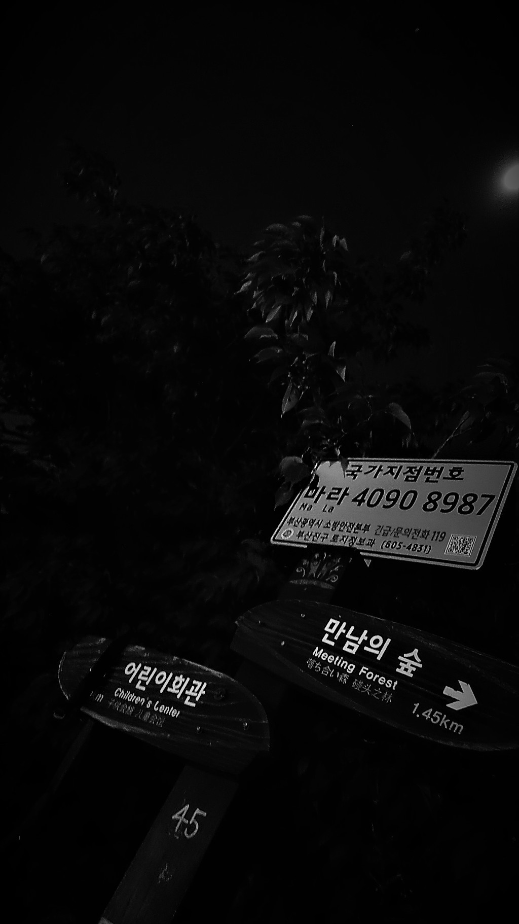 대끼리 이미지