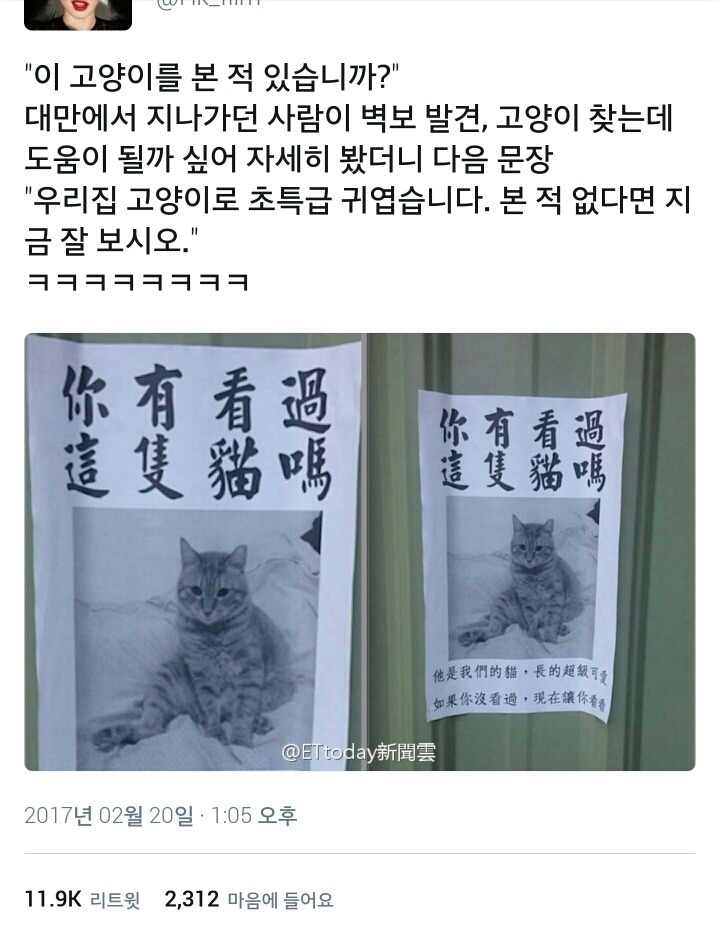 혹시 가다가 제 고양이 본적없으세요??ㅠ ㅠㅠㅠ | 인스티즈