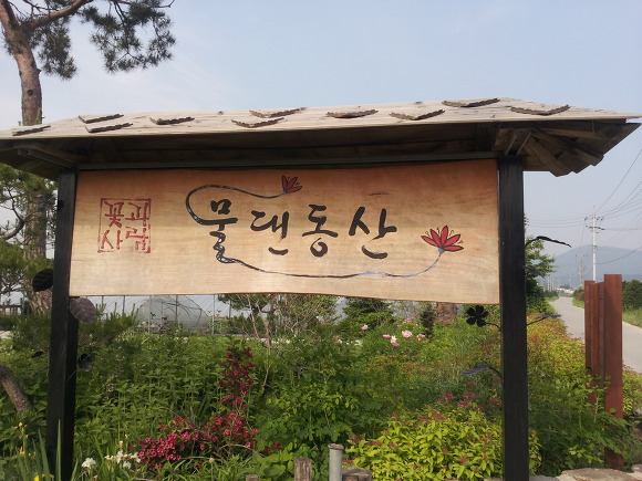 물댄동산 이미지