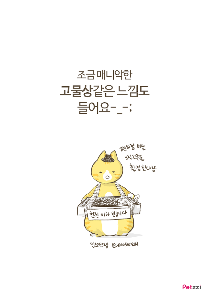 이해할 수 없는 고양이들의 취향.jpg | 인스티즈