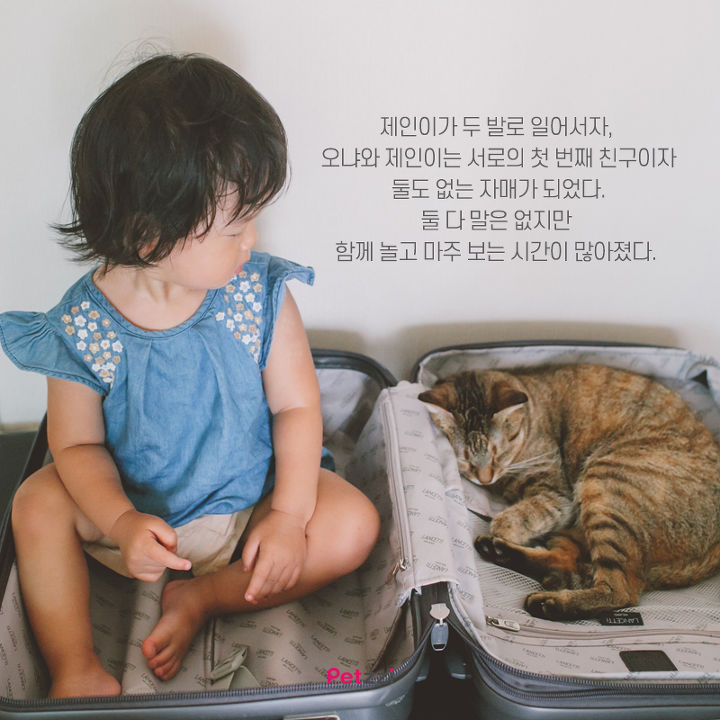 아기와 고양이의 교감 | 인스티즈