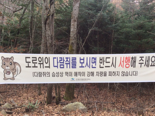 천천히 가야하는 이유 귀엽다 | 인스티즈