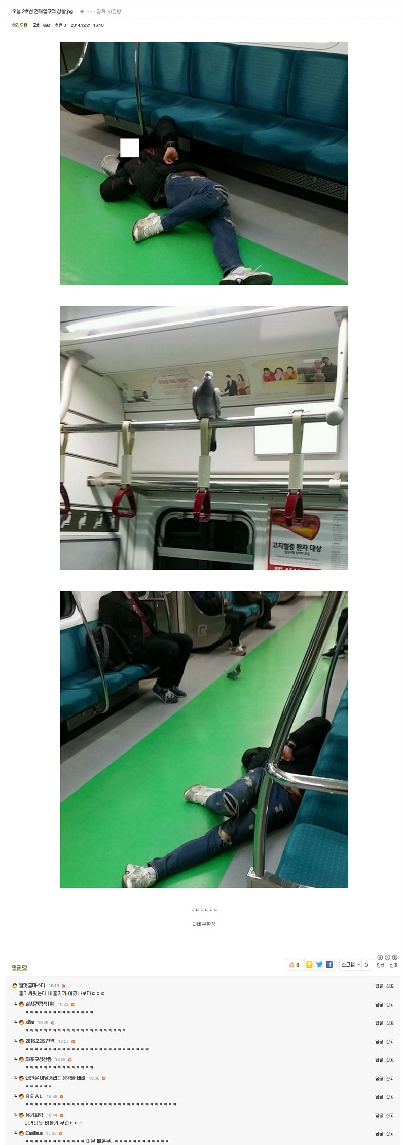 만렙 비둘기.JPG | 인스티즈