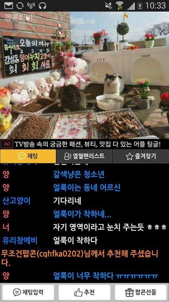 요즘 흔한 인터넷방송 먹방 BJ(feat.초호화 게스트) | 인스티즈