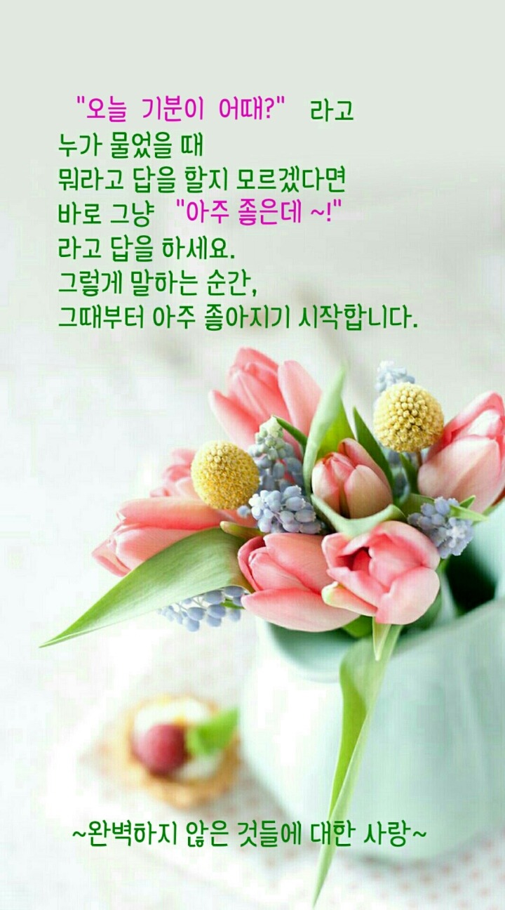 오늘 어때? 이미지