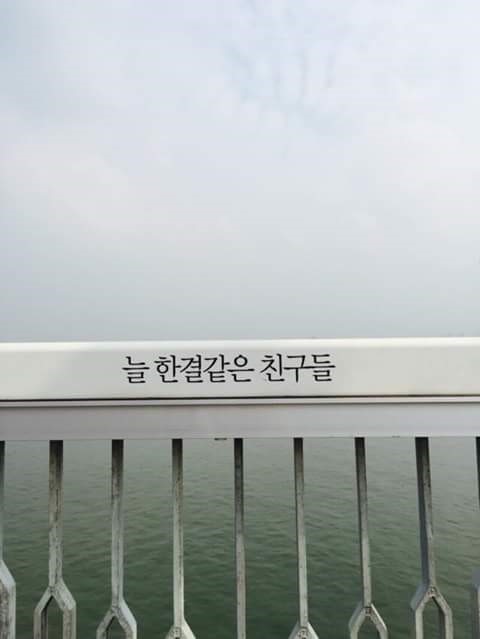 이뿌니 이미지