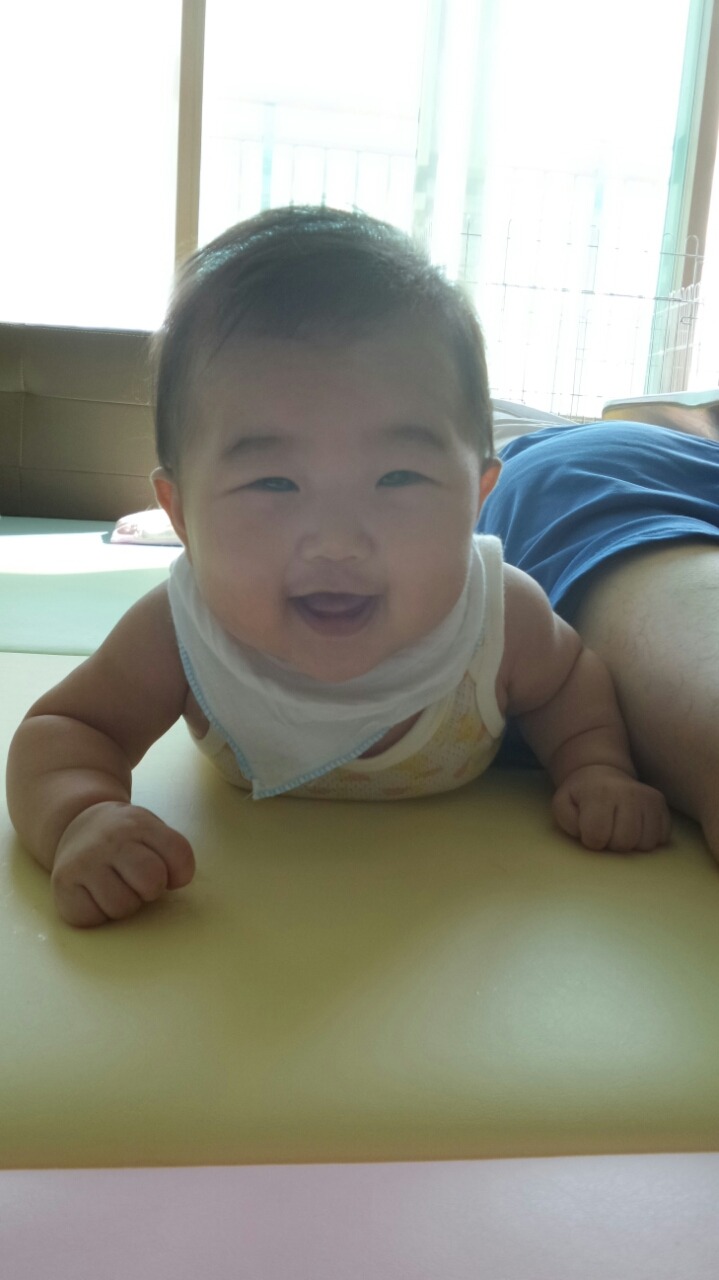 포포모모 이미지