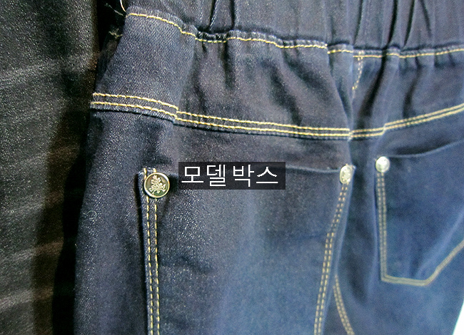 코코진 이미지