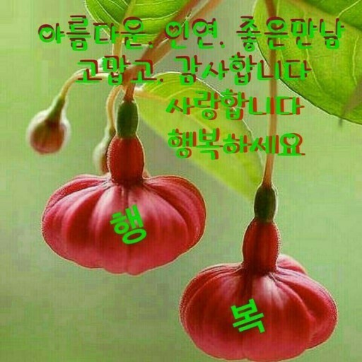 참,어 이미지