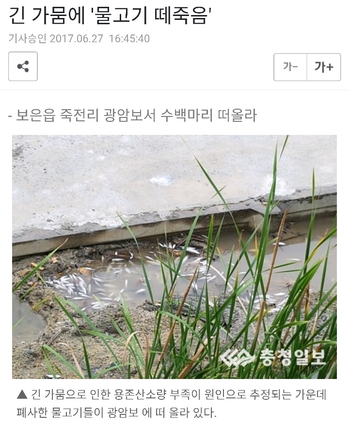 아무리 짜증나도 비 좀 오라고 말할 수 없는 이유 | 인스티즈