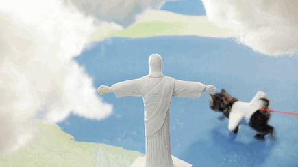 세계여행하는 냥이.gif | 인스티즈