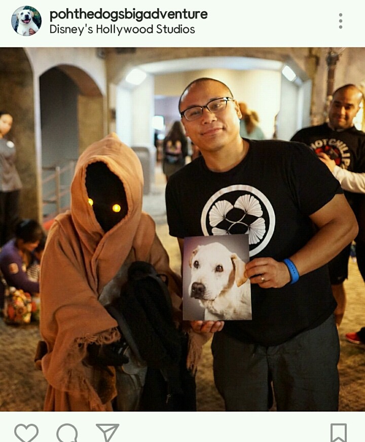 시한부 강아지의 마지막 여행 | 인스티즈