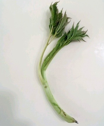 청양산채영농조합법인 이미지