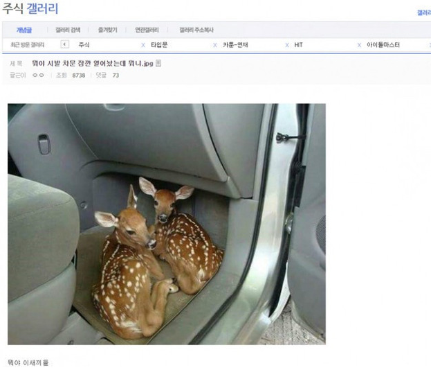 뭐야 이새끼들 | 인스티즈