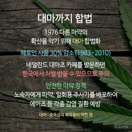 세상에서 가장 자유로운 나라.jpg | 인스티즈