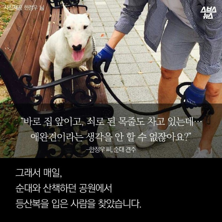 제 강아지가 잡아 먹혔습니다.jpg | 인스티즈
