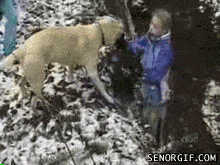 꼬리흔들면서 주인조지는 개 .gif | 인스티즈