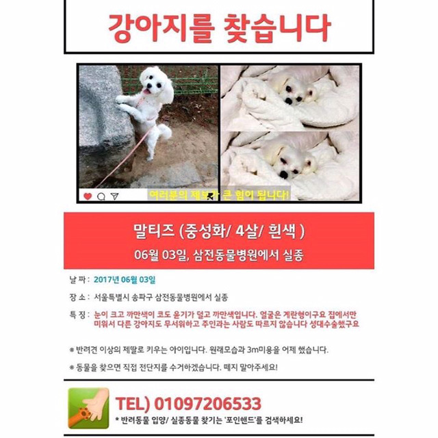 현재 인스타그램에 난리난 동물병원 사건 | 인스티즈